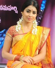 South Indian Heroine Shriya Pictures