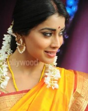 South Indian Heroine Shriya Pictures