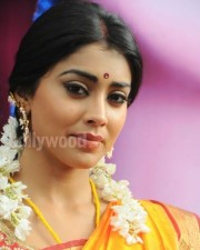 South Indian Heroine Shriya Pictures