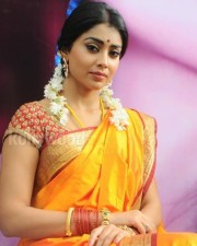 South Indian Heroine Shriya Pictures