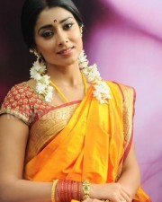 South Indian Heroine Shriya Pictures