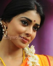 South Indian Heroine Shriya Pictures