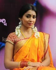 South Indian Heroine Shriya Pictures