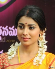 South Indian Heroine Shriya Pictures