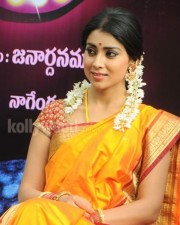 South Indian Heroine Shriya Pictures