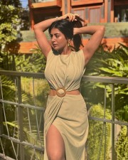 Stylish and Sexy Rashi Singh in a Light Green Sleevless Cutout Buckle Midi Dress Photos 02