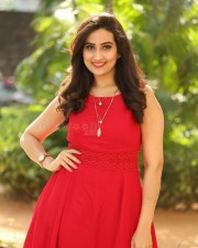 Television Anchor Manjusha At Padi Padi Leche Manasu Movie Thanks Meet Photos