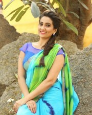 Telugu Actress Manjusha Saree Photos