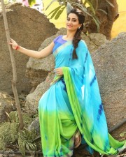 Telugu Actress Manjusha Saree Photos