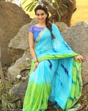 Telugu Actress Manjusha Saree Photos