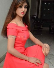 Telugu Actress Sony Charishta Sexy Photoshoot Photos