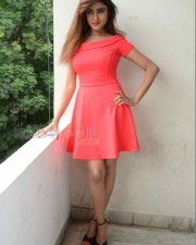 Telugu Actress Sony Charishta Sexy Photoshoot Photos