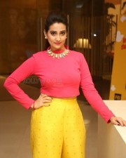 Telugu Anchor Manjusha New Pics