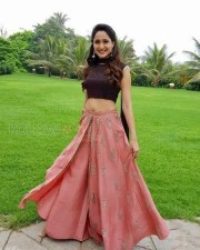 Telugu Film Actress Pragya Jaiswal Pictures