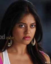 Actress Bindhu Madhavi Hot Photos