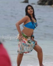 Actress Bindhu Madhavi Hot Photos