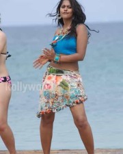 Actress Bindhu Madhavi Hot Photos