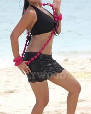 Actress Nayantara Sexy Photos