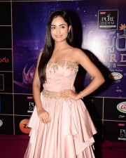 Actress Tridha Choudhury At Zee Apsara Awards Photos