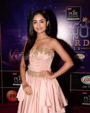 Actress Tridha Choudhury At Zee Apsara Awards Photos