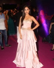 Actress Tridha Choudhury At Zee Apsara Awards Photos