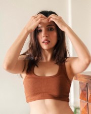 Beautiful Barkha Singh in a Brown Rib Knit Crop Top with Denim Pant Pictures 02