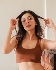 Beautiful Barkha Singh in a Brown Rib Knit Crop Top with Denim Pant Pictures 04