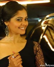 Bindu Madhavi Sexy Pictures