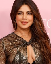 Goddess Priyanka Chopra in a Sheer Cut Out Dress Picture 01