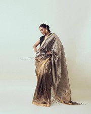 Gorgeous Hebah Patel in a Light Brown Saree with a Black Blouse Photos 05