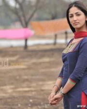 Gouravam Movie Heroine Yami Gautam Pictures