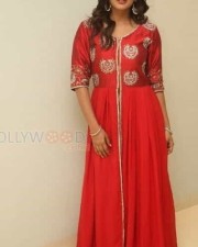 Hebah Patel At Mister Trailer Launch Photos