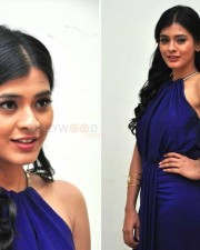 Hebah Patel Hot Pictures