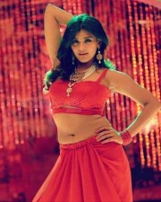 Hebah Patel Hot Pictures