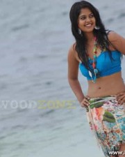 Hot Bindhu Madhavi Sexy Pics