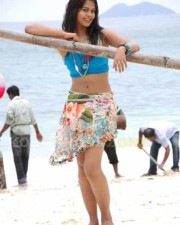 Hot Bindhu Madhavi Sexy Pics