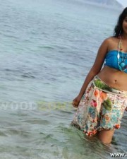 Hot Bindhu Madhavi Sexy Pics