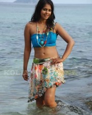 Hot Bindhu Madhavi Sexy Pics