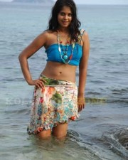 Hot Bindhu Madhavi Sexy Pics