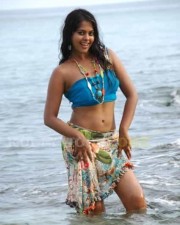 Hot Bindhu Madhavi Sexy Pics