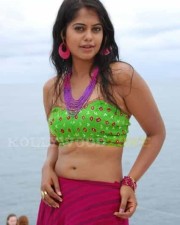 Hot Bindhu Madhavi Sexy Pics