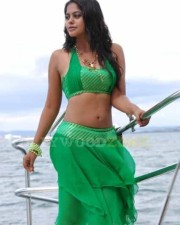 Hot Bindhu Madhavi Sexy Pics