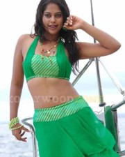 Hot Bindhu Madhavi Sexy Pics