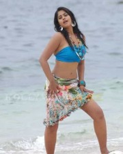 Hot Bindhu Madhavi Sexy Pics