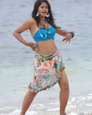 Hot Bindhu Madhavi Sexy Pics