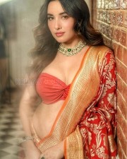 Nepalese Beauty Aditi Budhathoki in a Designer Saree with Busty Blouse Photos 02