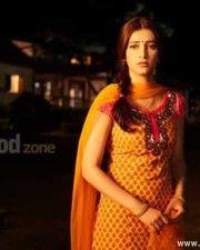 Ramaiya Vastavaiya Heroine Shruti Haasan Pictures