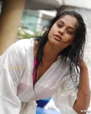 Sexy Actress Bindu Madhavi Pictures