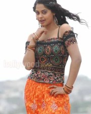 Sexy Actress Bindu Madhavi Pictures