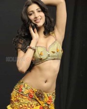 Sexy Actress Shruti Haasan Photos